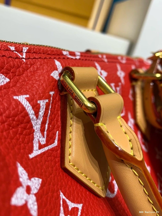 Aaa replica bags Bandoulière P9  VUITTON 25 LOUIS Speedy 0813